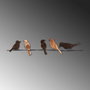 Wallity Muhabbet Accesorio Decorativo de Pared de Metal Multicolor